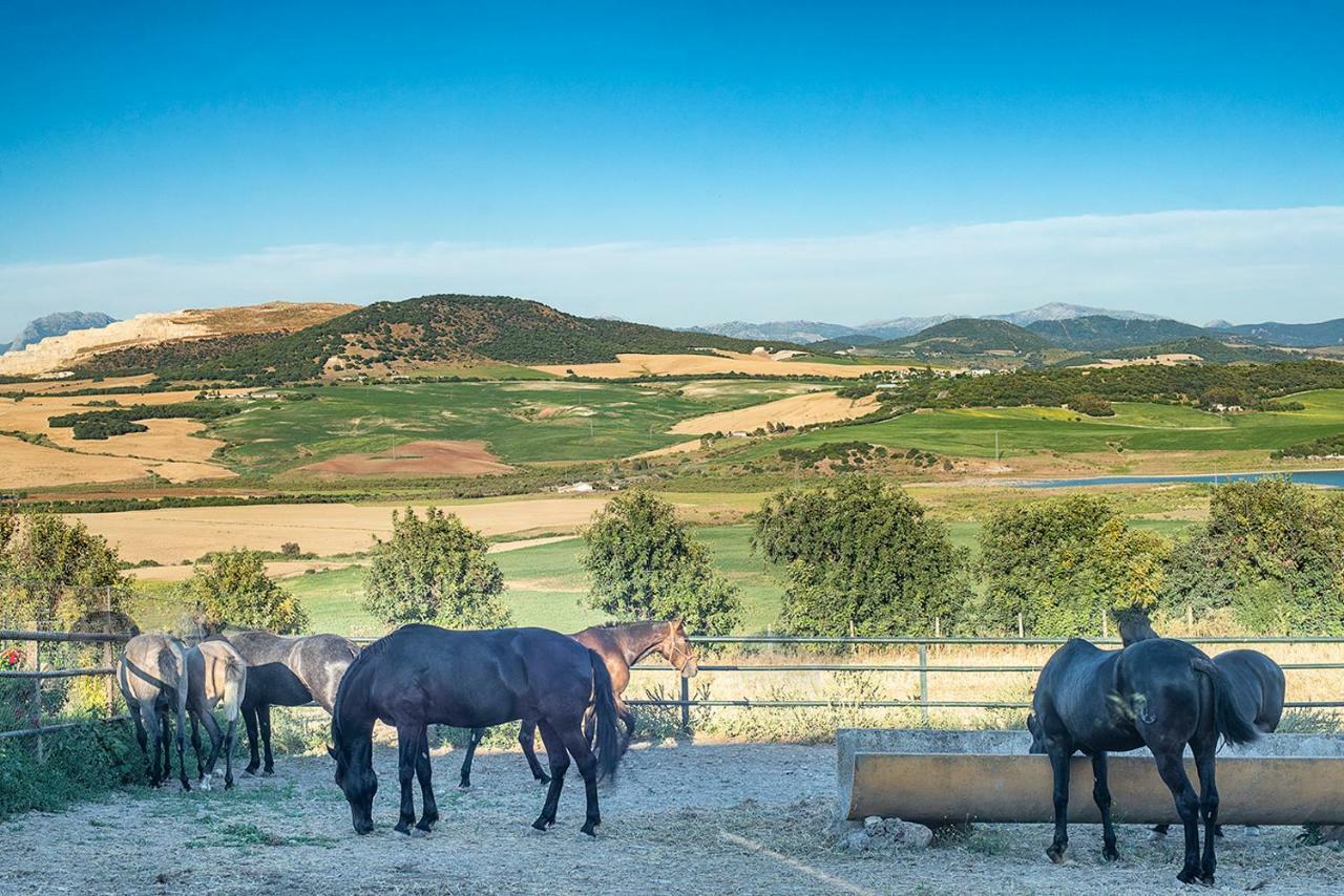 Alterhome Private Villa Cortijo Sierra Y Lago Arcos de la Frontera Exteriér fotografie