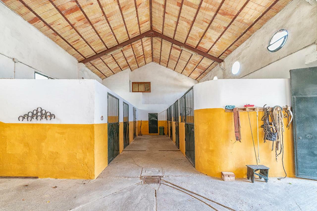 Alterhome Private Villa Cortijo Sierra Y Lago Arcos de la Frontera Exteriér fotografie