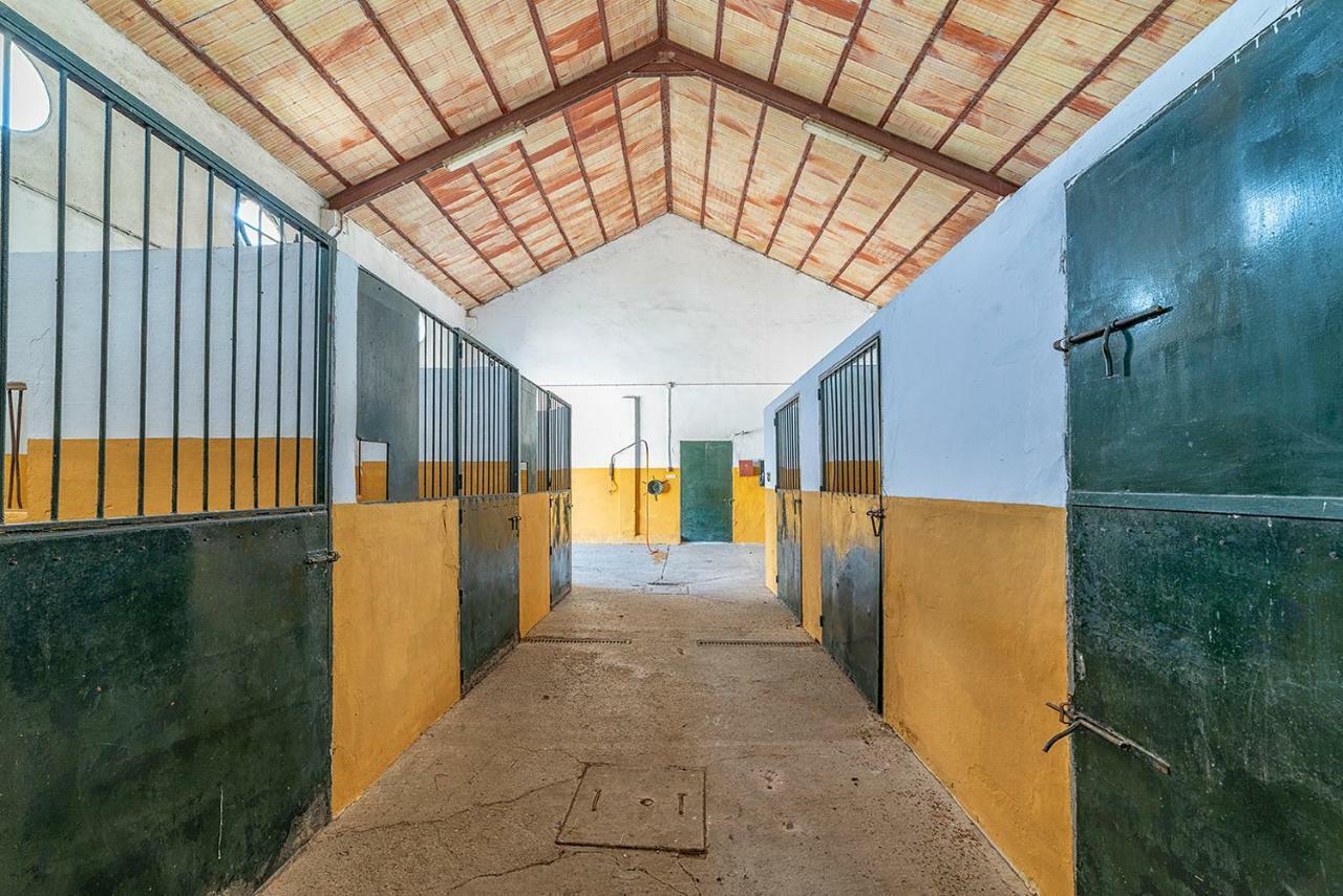 Alterhome Private Villa Cortijo Sierra Y Lago Arcos de la Frontera Exteriér fotografie
